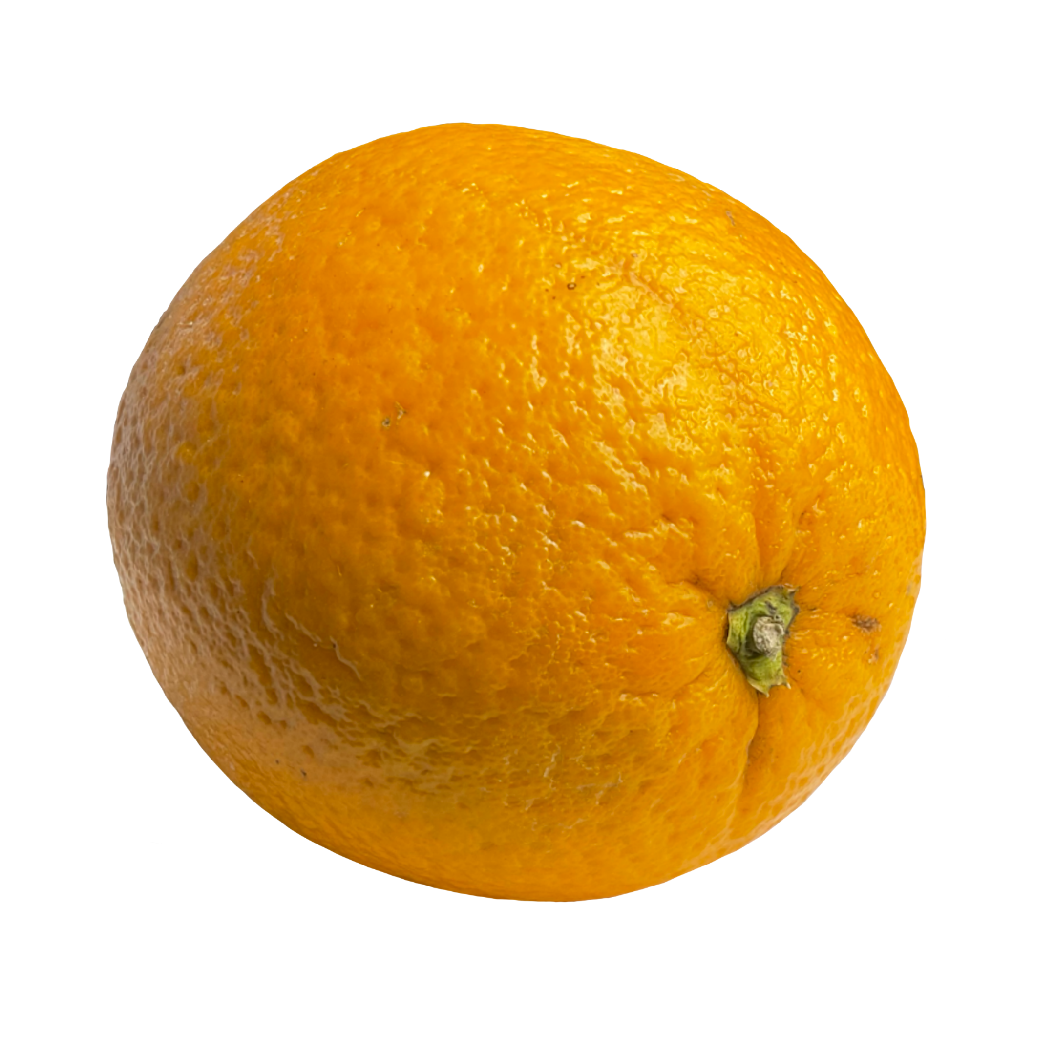 Mosambi