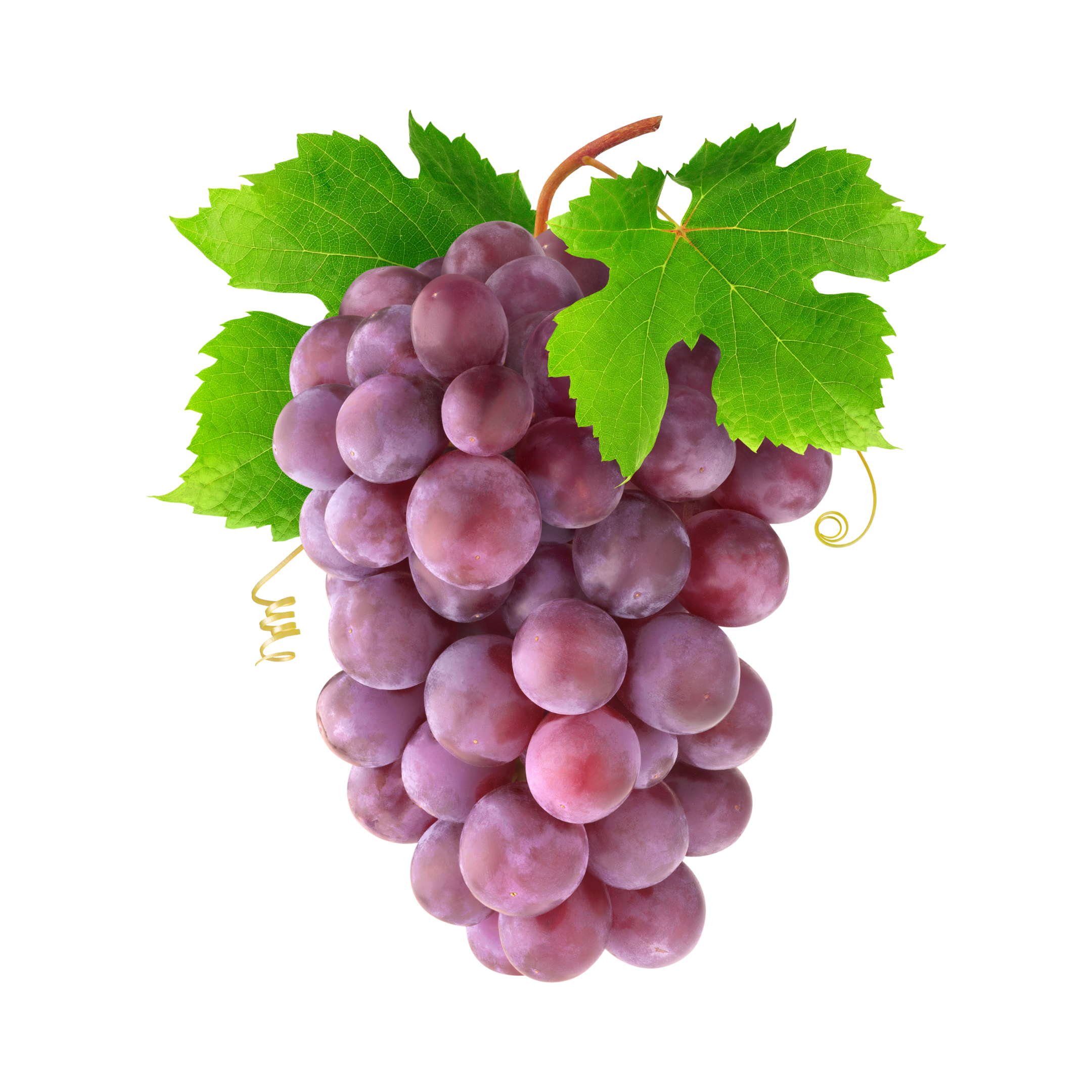 Red Grapes