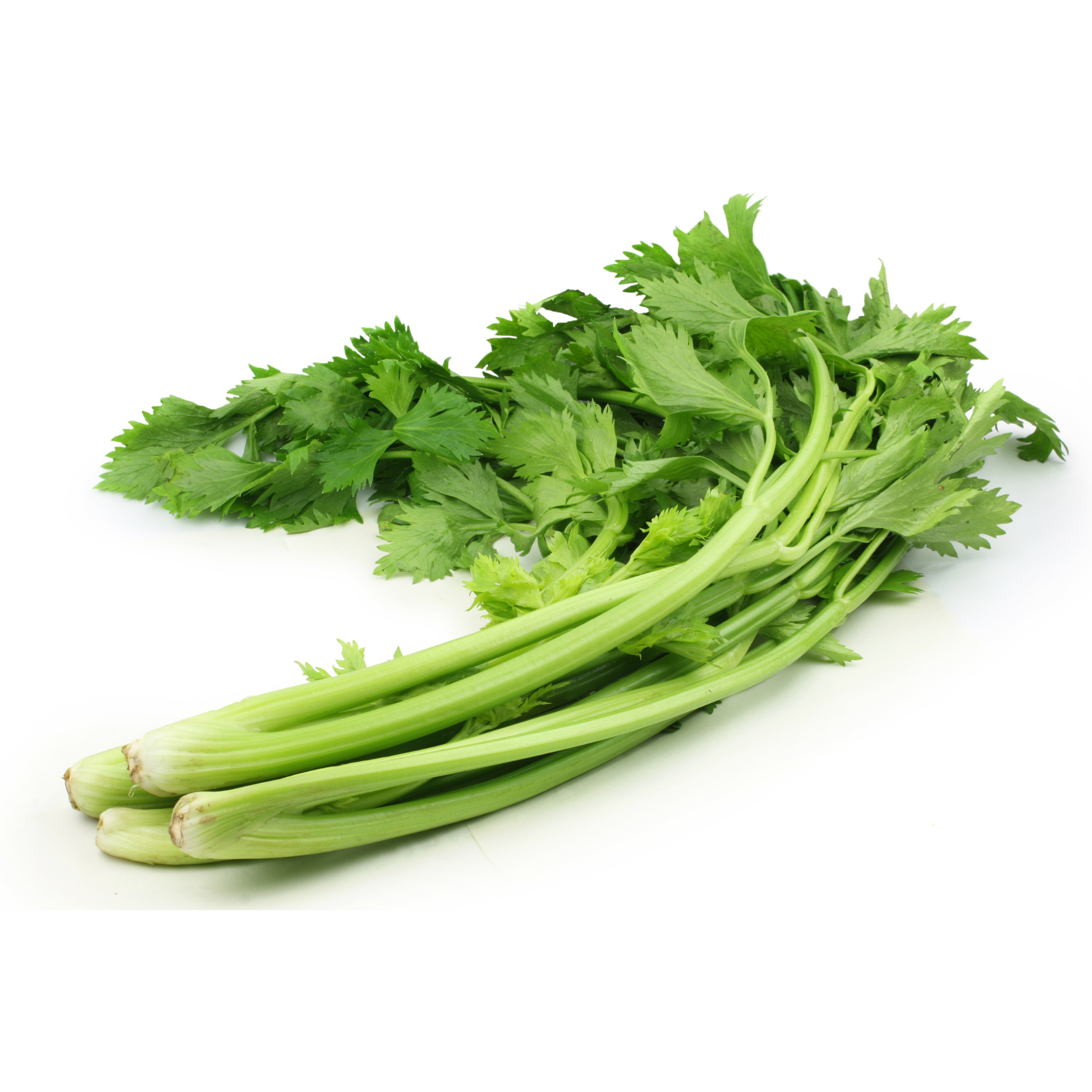 Celery